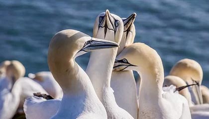 爱游戏平台-PSG.LGD目标直指世界赛冠军，lgd唯一指定冠军