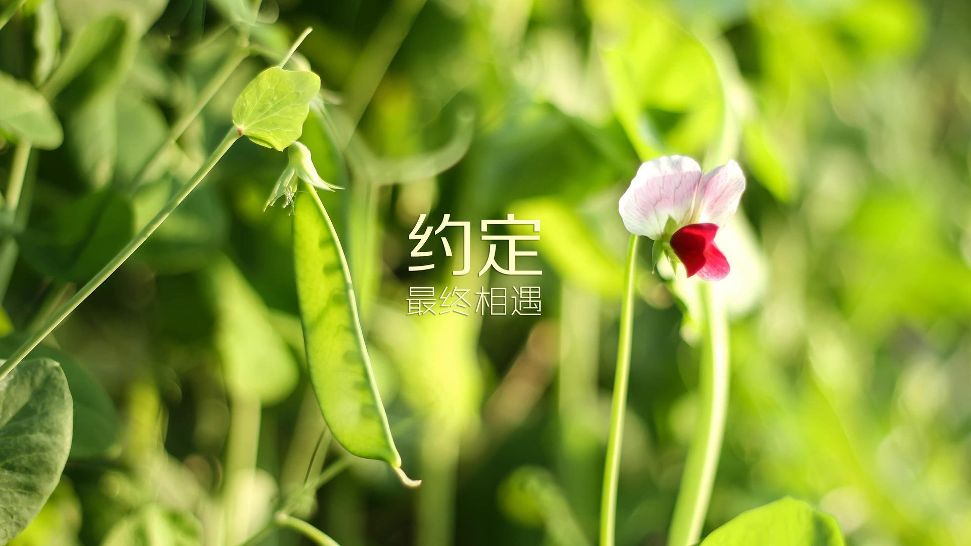 “泥巴王者”——泥地赛道的王者诞生记，泥巴挑战赛