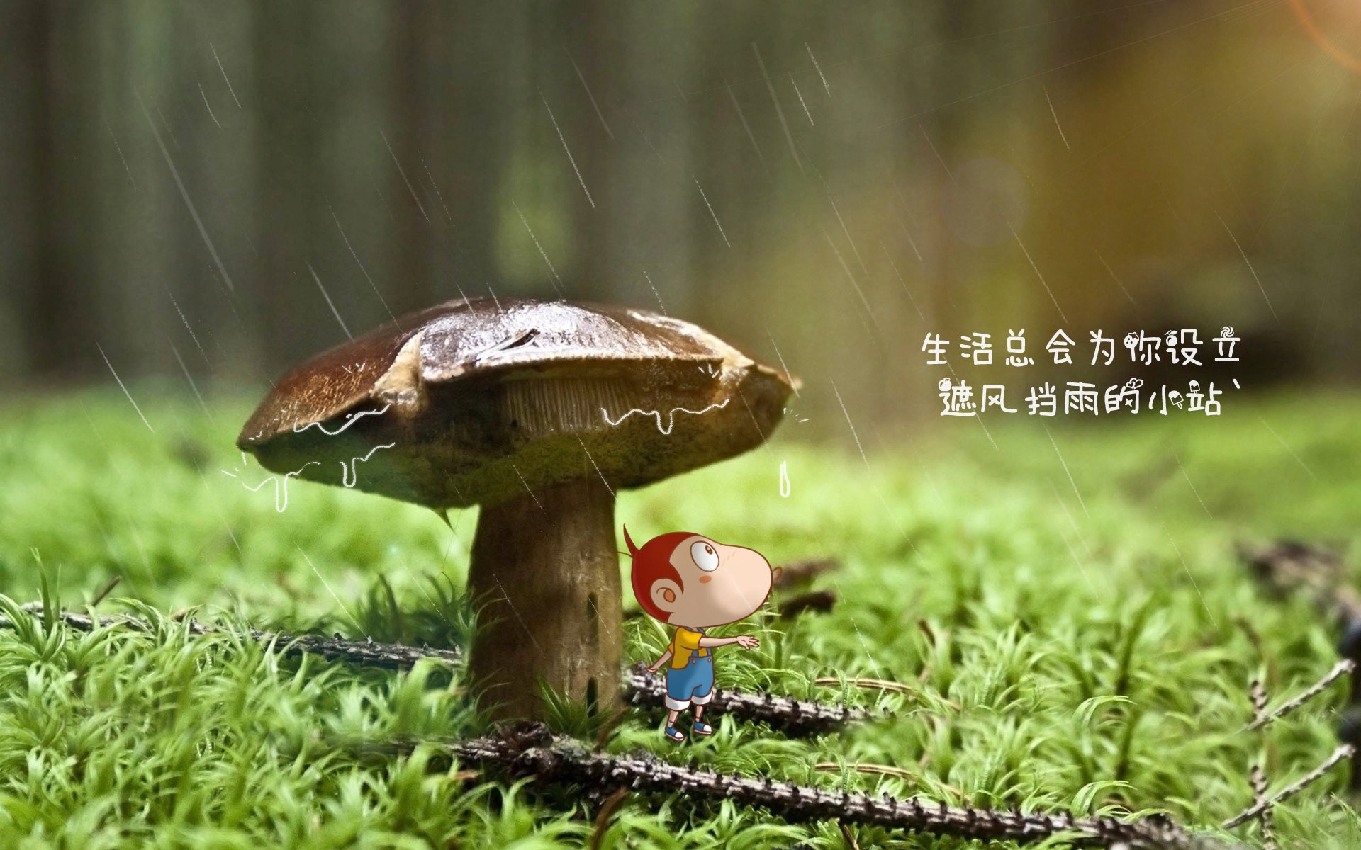 【全景直播平台】多角度观看精彩比赛瞬间，vr全景直播