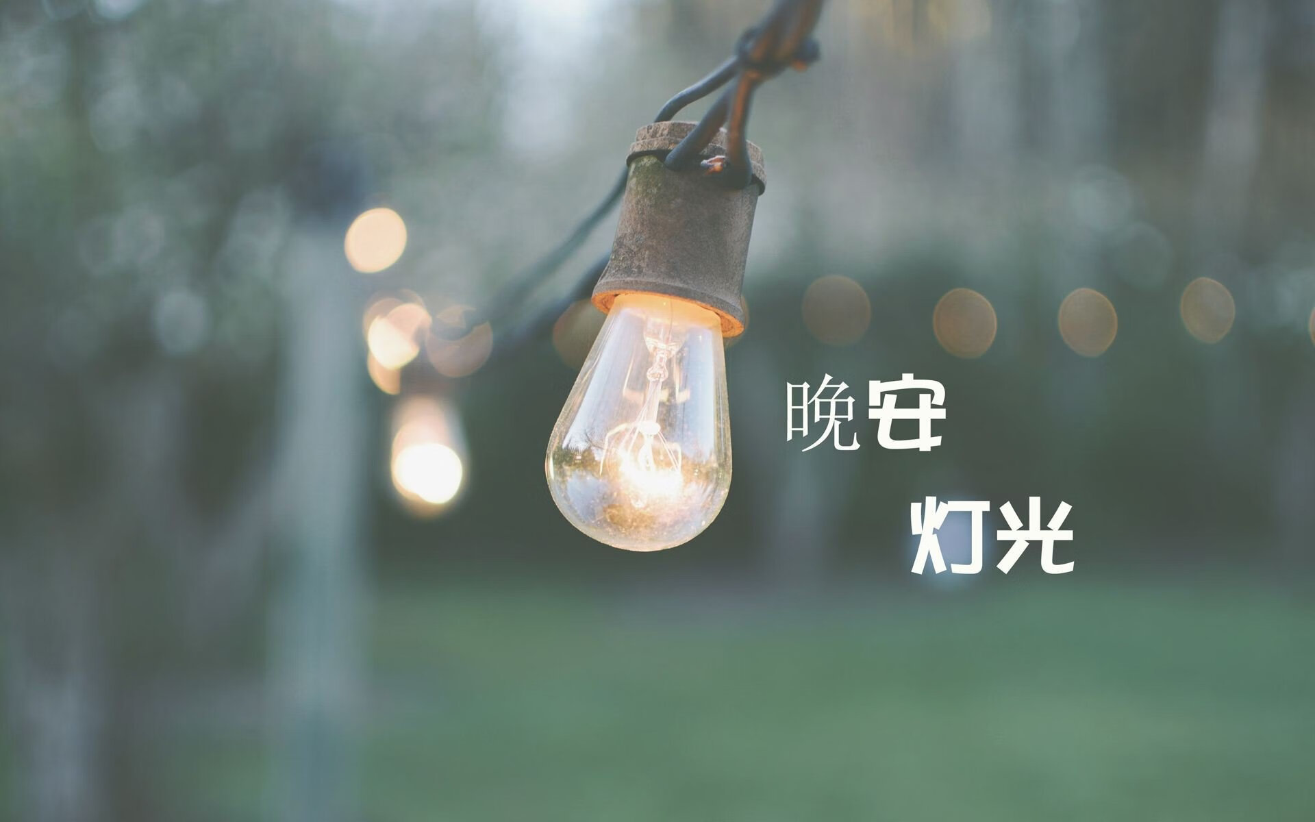 西班牙骑手托马斯·约夫雷在美国奥卡拉速度挑战赛中以最快成绩获胜。
