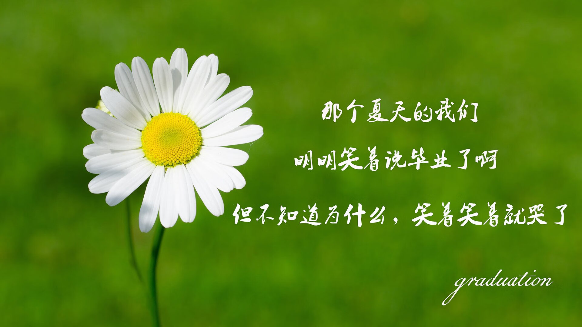 西班牙男篮主帅赞赏球员拼搏精神，西班牙男篮主力