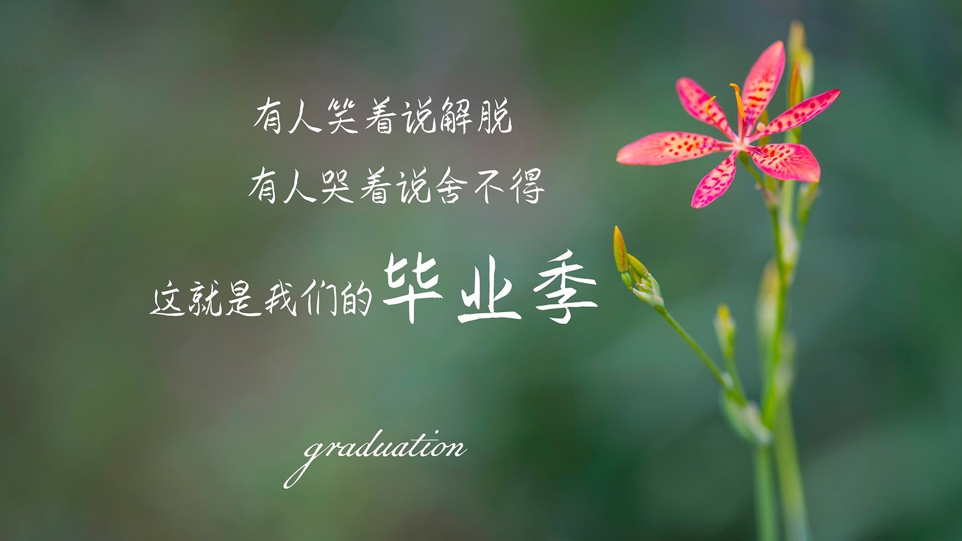国足后场组织方式模型对比，足球后场组织进攻