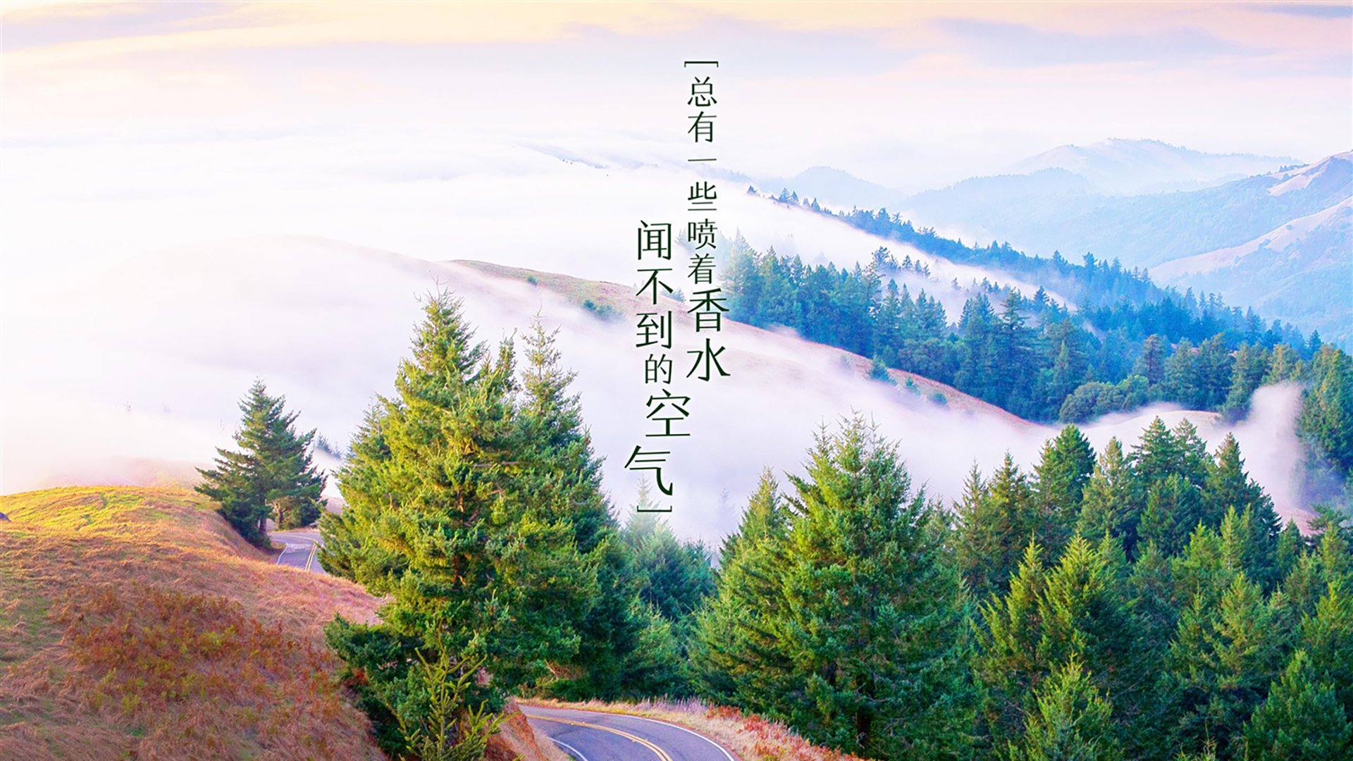 德甲速度之王：快如闪电，闪耀全场！，德甲冲刺速度最快球员